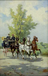 Carriage Ride